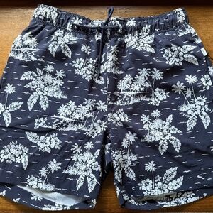 Onia Mens Comfort Lined Swim Trunk Short, Tropical Vista